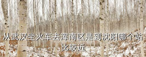 從武漢坐火車去渾南區是到沈陽哪個站比較近