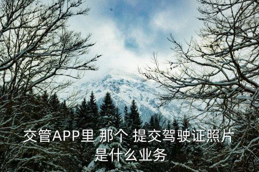 駕駛證照片，交管APP里 那個(gè) 提交駕駛證照片 是什么業(yè)務(wù)