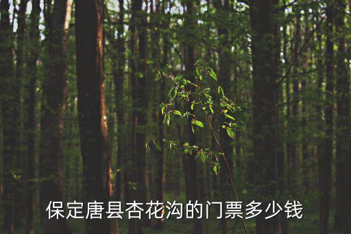 保定唐縣杏花溝的門票多少錢