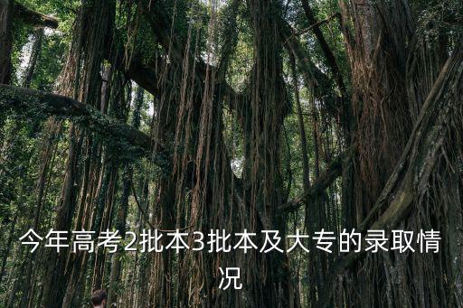 今年高考2批本3批本及大專的錄取情況