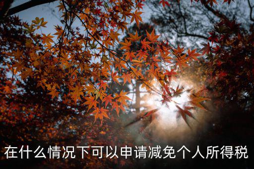 在什么情況下可以申請(qǐng)減免個(gè)人所得稅