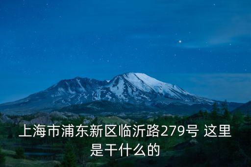 臨沂路，上海市浦東新區(qū)臨沂路279號 這里是干什么的