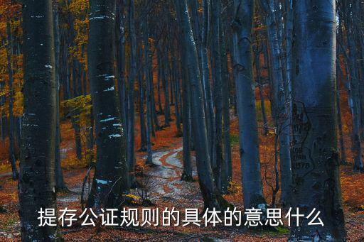 提存公證規(guī)則的具體的意思什么