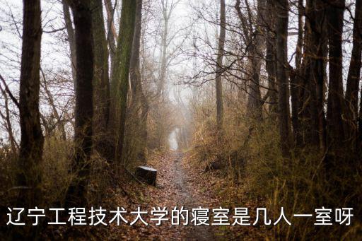 遼寧工程技術大學的寢室是幾人一室呀