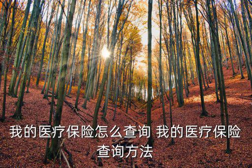 我的醫(yī)療保險怎么查詢 我的醫(yī)療保險查詢方法