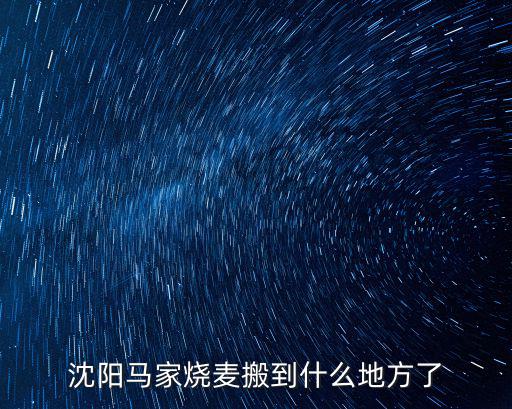 沈陽馬家燒麥搬到什么地方了