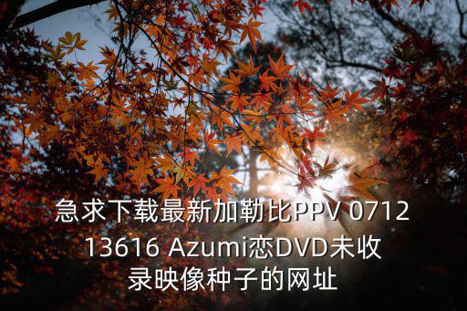 急求下載最新加勒比PPV 071213616 Azumi戀DVD未收錄映像種子的網址