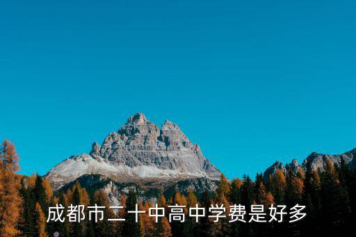 成都市二十中高中學費是好多