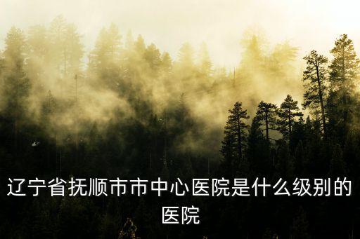 撫順市中心醫院，撫順市中心醫院的醫院地址
