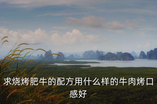 求燒烤肥牛的配方用什么樣的牛肉烤口感好