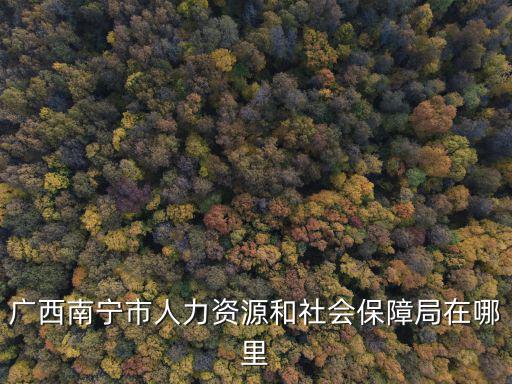 廣西南寧市人力資源和社會保障局在哪里