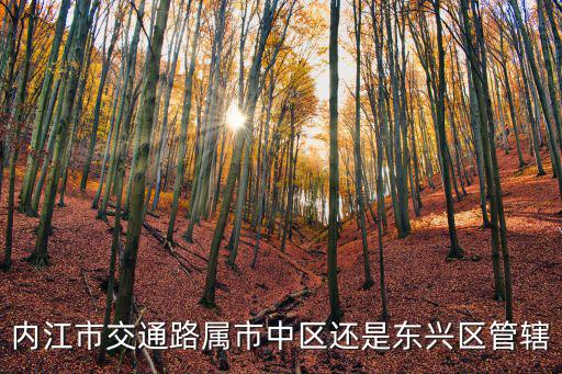 內(nèi)江市交通路屬市中區(qū)還是東興區(qū)管轄