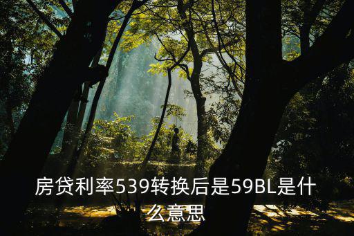 房貸利率539轉換后是59BL是什么意思