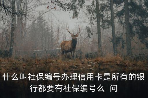 什么叫社保編號辦理信用卡是所有的銀行都要有社保編號么  問