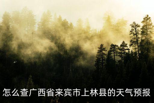 上林天氣預報，上林縣未來幾天天氣怎么樣