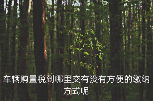 車輛購置稅到哪里交有沒有方便的繳納方式呢