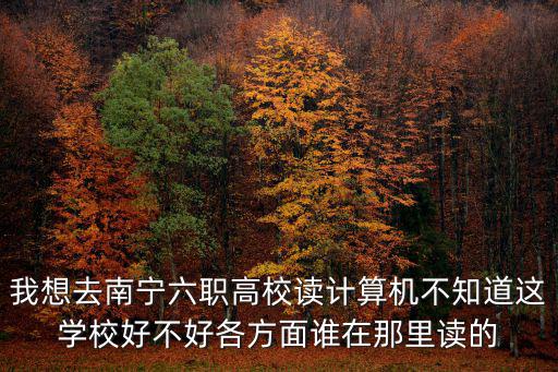 南寧市第六職業技術學校，我想去南寧六職高校讀計算機不知道這學校好不好各方面誰在那里讀的