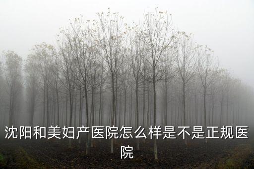 沈陽和美婦產醫院怎么樣是不是正規醫院