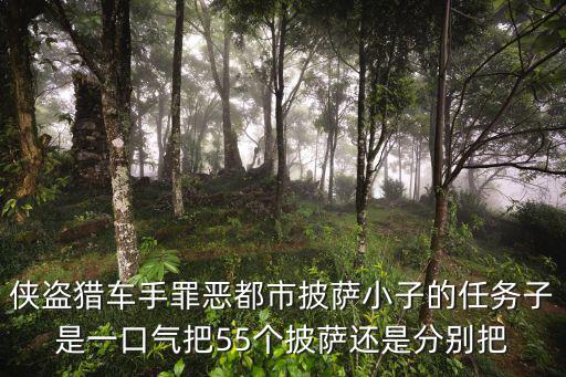 俠盜獵車手罪惡都市披薩小子的任務子是一口氣把55個披薩還是分別把
