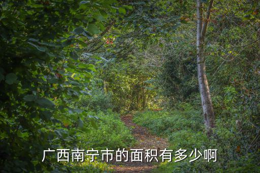 廣西南寧市的面積有多少啊