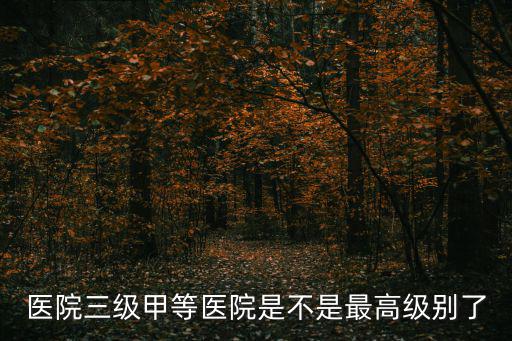 醫院三級甲等醫院是不是最高級別了