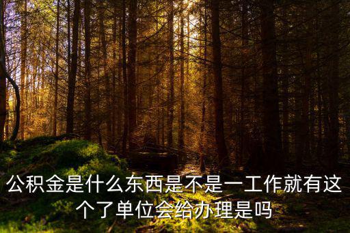 公積金是什么東西是不是一工作就有這個了單位會給辦理是嗎