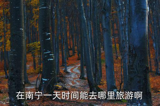 在南寧一天時(shí)間能去哪里旅游啊
