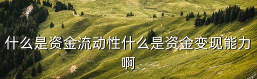 什么是資金流動(dòng)性什么是資金變現(xiàn)能力啊