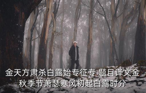 專征，專征蕭鼓向秦川金牛道上車千乘點譯