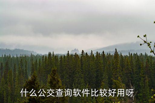 什么公交查詢軟件比較好用呀