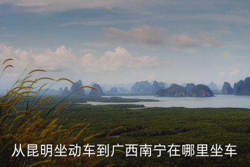 從昆明坐動車到廣西南寧在哪里坐車