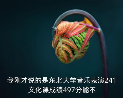 東北大學(xué)招生網(wǎng)，東北大學(xué)文科二本專業(yè)