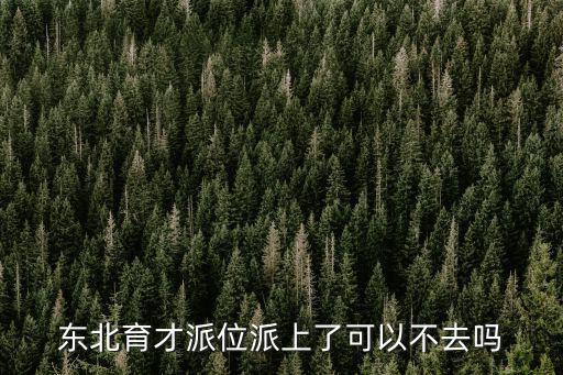 東北育才派位派上了可以不去嗎