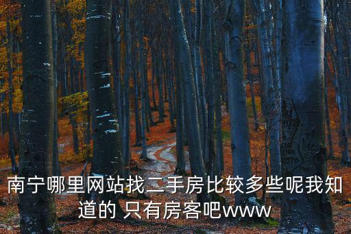 南寧哪里網站找二手房比較多些呢我知道的 只有房客吧www
