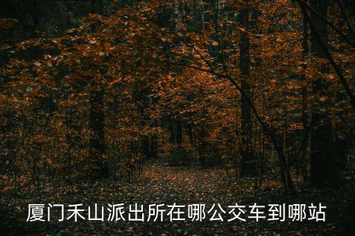 廈門禾山派出所在哪公交車到哪站