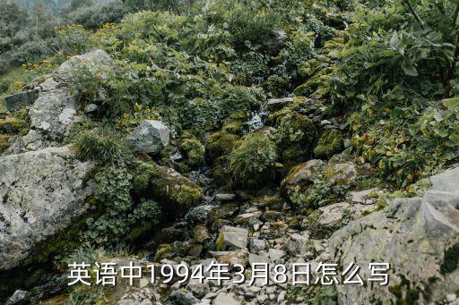 英語中1994年3月8日怎么寫