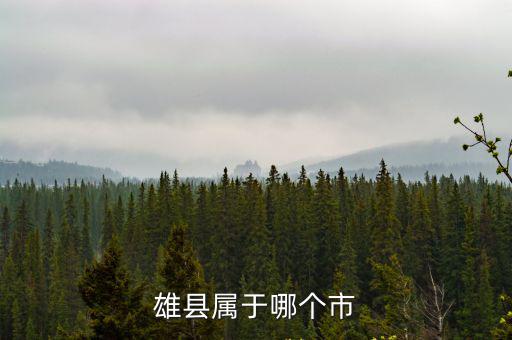 雄縣屬于哪個市