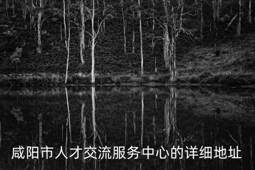 咸陽市人才交流服務中心的詳細地址