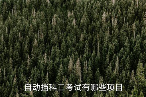 自動擋科二考試有哪些項目