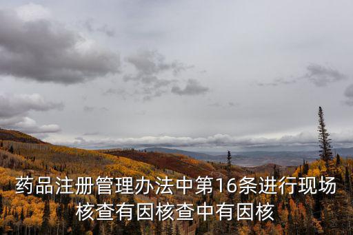 核查是什么意思，客服專員核查中是什么意思啊