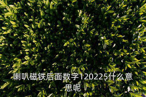 喇叭磁鐵后面數字120225什么意思呢