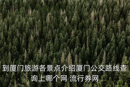 廈門公交線路查詢，廈門市所有公交車路線