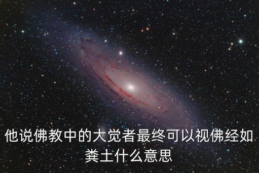 他說佛教中的大覺者最終可以視佛經(jīng)如糞土什么意思