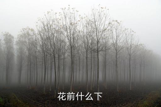 花前什么下