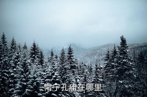 南寧孔廟，南寧孔子廟在哪