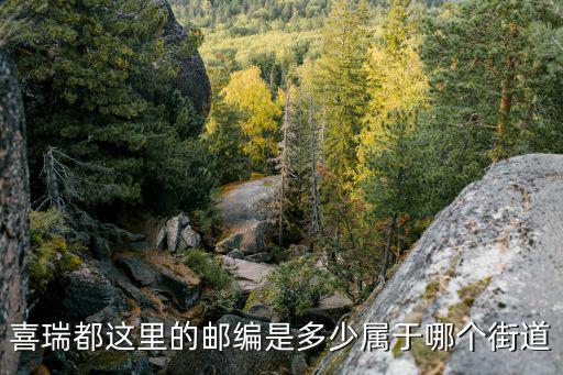 喜瑞都，有愛難偷 無論這是第幾個年頭都不重要是什么意思