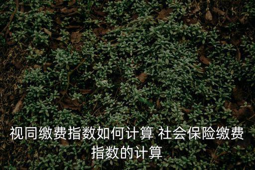 視同繳費(fèi)指數(shù)，養(yǎng)老金計(jì)算中平均繳費(fèi)工資指數(shù)視同繳費(fèi)指數(shù)實(shí)際繳費(fèi)指數(shù)中的三個(gè)
