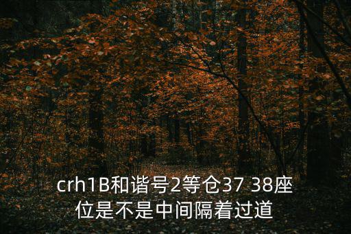 crh1B和諧號(hào)2等倉37 38座位是不是中間隔著過道