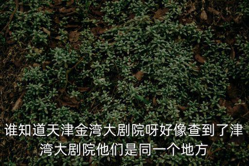天津津?yàn)炒髣≡海l知道天津金灣大劇院呀好像查到了津?yàn)炒髣≡核麄兪峭粋€地方