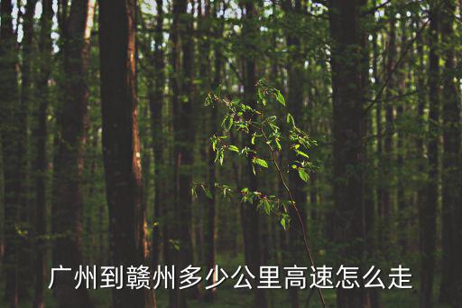 廣州到贛州多少公里高速怎么走